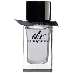 Burberry Mr. Burberry 100ml (Туалетная вода)